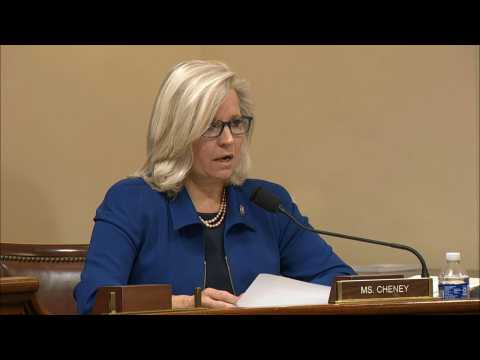 Capitol riot hearing: anti-Trump Republican Cheney warns against 'whitewash'