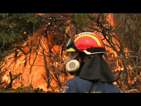 Greek firefighters use controlled blazes to prevent wildfire spread