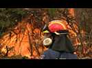 Greek firefighters use controlled blazes to prevent wildfire spread
