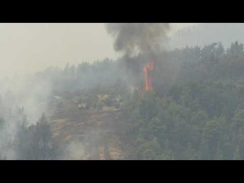 Wildfires rage on Greece's Evia island