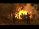 Firefighters try to contain fiery destruction on Greek island of Evia
