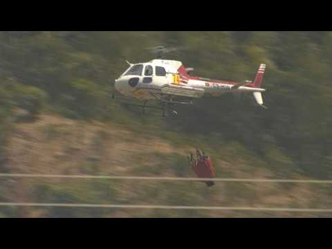 Portugese firefighters battle wildfire as heatwave persists