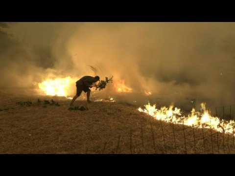 Locals battle flames on Greek island of Evia