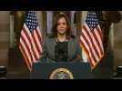 VP Harris urges Americans to 'unite in defense' of democracy