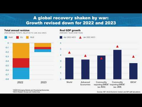 IMF slashes eurozone 2022 growth forecast on Ukraine war