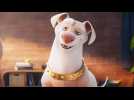 Krypto et les Super-Animaux - Bande annonce 2 - VO - (2022)