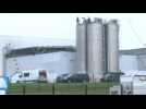French authorities raid Buitoni factory after child E.Coli cases