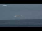 Crew of first private flight to ISS splash down off Florida