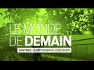 Le Monde de Demain | Des repas végétariens à la cantine