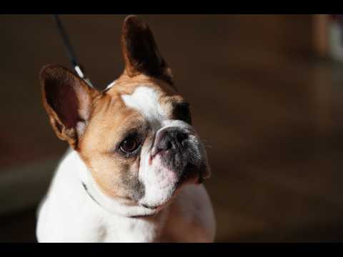 Modern Family - Teaser 1 - VO