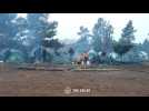 Belarus releases new video of migrant camp near Polish border