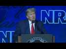'Evil' like Texas massacre a reason to arm, not disarm: Trump