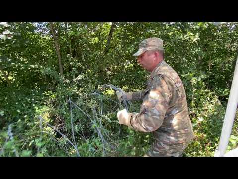 Slovenia starts to remove wire fence on border with Croatia