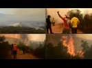 Firefighters douse raging forest fire in Morocco's Larache region