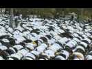 Supporters of Iraqi cleric Moqtada Sadr attend collective Friday prayer
