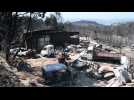 600 hectares and car warehouse burned after Spain fires
