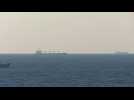 First Ukraine grain ship reaches Turkish coast