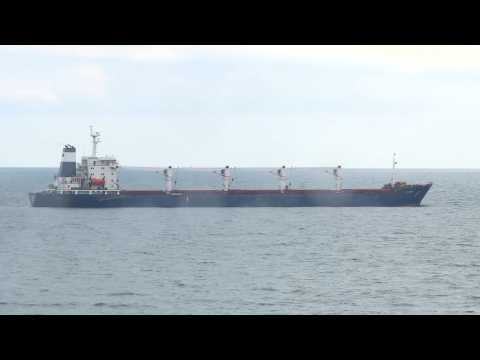 First ship carrying Ukrainian grain awaits inspection off Istanbul