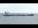 First ship carrying Ukrainian grain awaits inspection off Istanbul