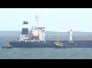Inspection team arrives at first Ukrainian grain shipment off Istanbul