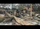 Algerians inspect damages in El Kala after deadly forest fires