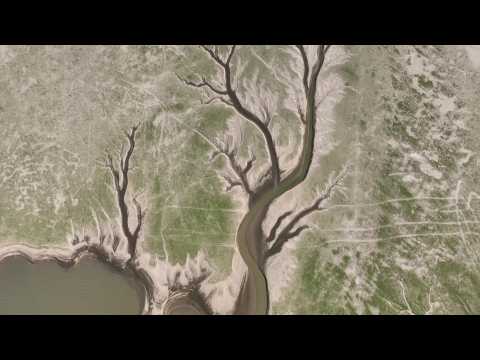 Severe heat dries up part of China's largest freshwater lake