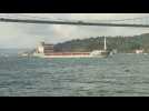 First Turkish-flagged grain ship to leave Ukraine sails Bosphorous Strait