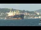 Ship carrying Ukrainian grain passes through Bosphorus