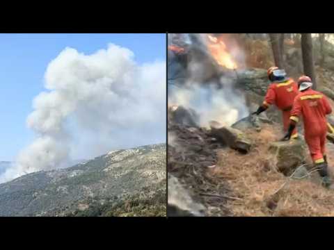 Spanish firefighters battle fire in central Avila province