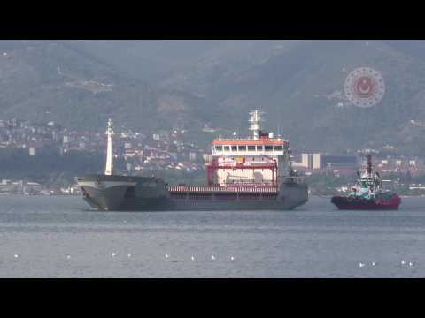 First grain ship from Ukraine to reach final destination docks in Turkey
