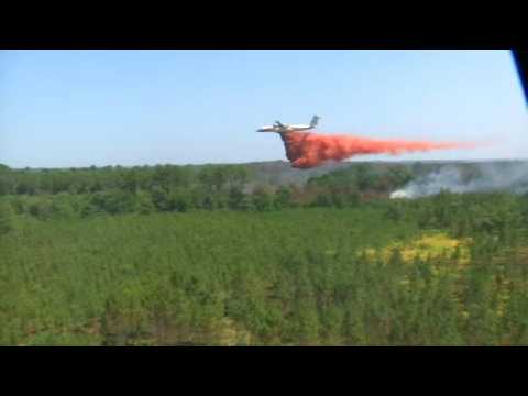 Fires in Gironde: aerial images of burnt areas