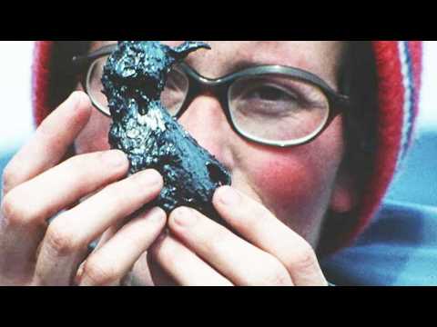 Fire of Love - Bande annonce 1 - VO - (2022)
