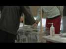 Regional elections: Paris polling station opens