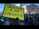 Several hundred "yellow vests" demonstrate in Paris