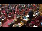 French senators pay tribute to "Ukrainian resistance"