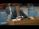 Ukraine's borders remain 'unchangeable' despite Russian action: UN ambassador
