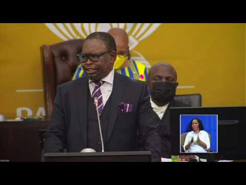 S.Africa revises economic forecast to 4.8 percent growth: minister