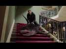 Sharknado 5: Global Swarming - Bande annonce 2 - VO - (2017)