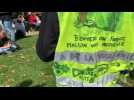 Paris "yellow vests" protest Covid-19 health pass