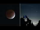 Moon lighting: Tokyo residents watch partial lunar eclipse