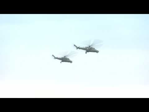 Polish military training session as part of British defence secretary visit