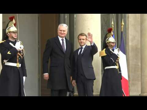 France's Macron meets Lithuanian president Nauseda in Paris