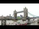 Extinction Rebellion protesters close London's Tower Bridge