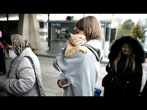 Ukrainian refugees arrive at Greece-Bulgaria border