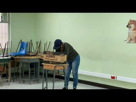 Costa Ricans head to the polls to elect new president