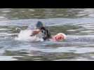 French swimmer closes in on Paris in Seine river challenge