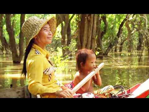 Gratitude Revealed - Bande annonce 1 - VO - (2022)
