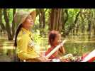 Gratitude Revealed - Bande annonce 1 - VO - (2022)