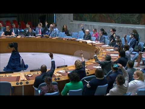 UN Security Council passes 6-month extension of cross-border Syria aid