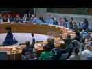 UN Security Council passes 6-month extension of cross-border Syria aid
